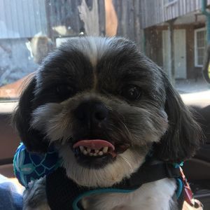 Meet your Posher, Kyle